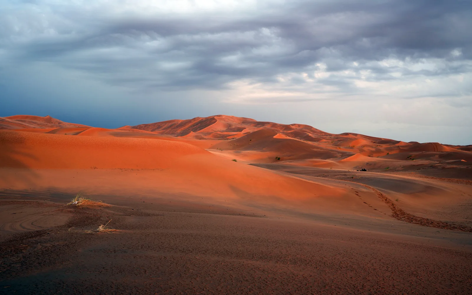 Erg Chebbi Trek